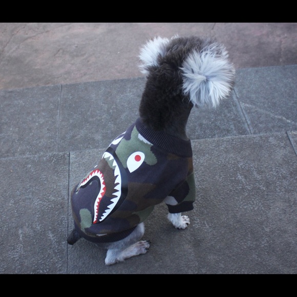 CAMO SHARK DOG SWEATER - Picture 2 of 5